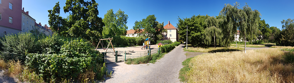 20190627_095313.jpg