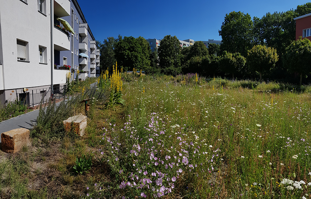 Beerenhorstbecken.jpg