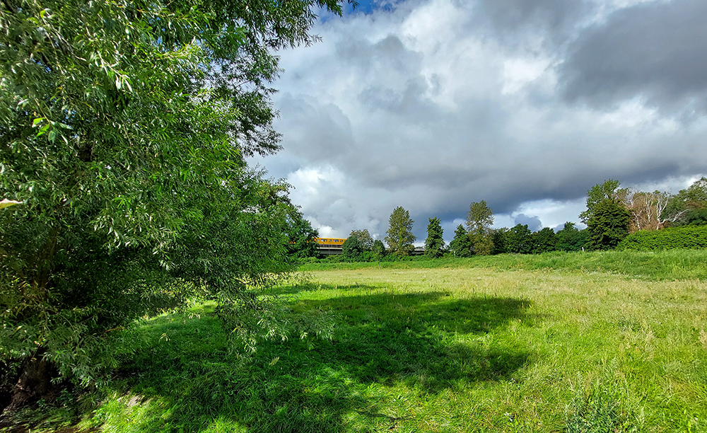 seidelbecken1.jpg